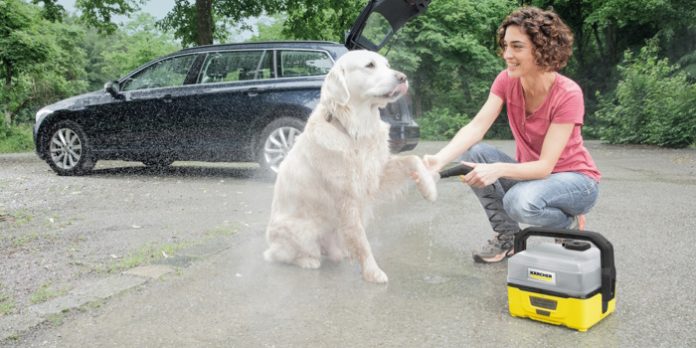 Los 5 tips de limpieza imprescindibles para un hogar con mascotas. Lava mascotas