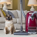 Cat&Dog de Miele