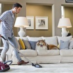 Elimina los olores y los pelos de las mascotas de tu hogar con Cat&Dog de Miele