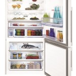 Frigorífico Beko CN 161230 DX_open