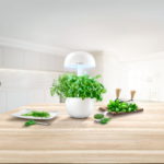 SmartGrow_Motiv1_MSGP3_final