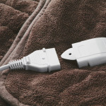 manta taurus
